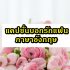 สมัครงานร้านกาแฟอเมซอน ทำยังไง 2567