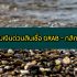 กองทุน tmb ตัวไหนดี 2565