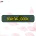 ไม้ยอด ไม้วางข้อ และไม้ตอ ต่างกันยังไง ควรเลือกซื้ออะไรดี