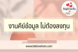 คีย์ข้อมูล หาเงินออนไลน์ฟรีง่าย ๆ ไม่ต้องลงทุน 2567