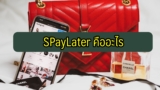 SPayLater คืออะไร Shopee ช้อปก่อน จ่ายทีหลัง