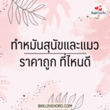 คลินิกทำหมันสุนัข แมว ราคาถูก กรุงเทพ 2567