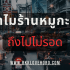 ซื้อเงินต่างประเทศ เก็งกำไร สกุลไหนดี 2568