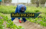 สินเชื่อ ธกส 10,000 ไม่ต้องมีคนค้ำ 2564