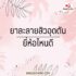 กองทุนหุ้นต่างประเทศ น่าสนใจ ตัวไหนดี? 2567