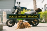 7 รถมอเตอร์ไซค์ไฟฟ้า ยี่ห้อไหนดี 2567