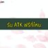 ศัพท์วงการไม้ใบ 2021
