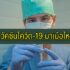 จ้างงานจบใหม่ กรมจัดหางาน 2564