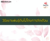 วิธีตัดเตือนต้นไม้เพื่อขยายพันธุ์