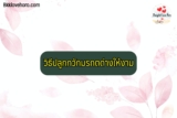 วิธีปลูกกวักมรกตด่างให้งาม 2565
