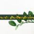 9 เก้าอี้นวดไฟฟ้า ยี่ห้อไหนดี 2021
