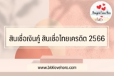 สินเชื่อไทยเครดิต 2567 มีอะไรบ้าง