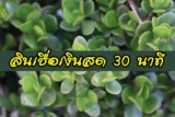 ต้องการเงินฉุกเฉิน 5000 ด่วน สินเชื่อเงินสด 30 นาที 2564