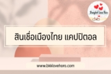 เมืองไทยแคปปิตอล ใช้เอกสารอะไรบ้าง￼
