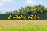 สินเชื่อ โฉนดที่ดิน ธกส/ออมสิน/SCB 2565 ยืมเงินฉุกเฉินด่วน 2022