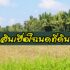กองทุนรวม กสิกร ตัวไหนดี 2565