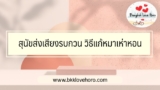สุนัขส่งเสียงรบกวน วิธีแก้หมาเห่าหอน