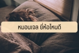หมอนเจลเย็น ยี่ห้อไหนดี 2564