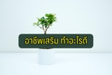 อาชีพเสริม ทำอะไรดี 2024