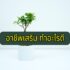 สมัครไลน์แมน (Lineman) แบบง่าย ๆ ใน 2 นาที 2024
