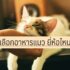 App ยืมเงินด่วนได้จริง ios ยืมเงิน 5000 ด่วน 2024