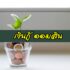 ยืมเงินหลักพัน 2022