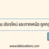 ขายน้ำปั่น ลงทุนเท่าไหร่ ต้องเตรียมอะไรบ้าง
