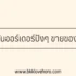 30 แคปชั่นอ่อยน่ารักๆ สำหรับคนโสด