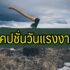 วิธีเปิดบัตรเครดิตกสิกรไทย 2567