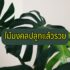 มาตรา 39, 40 เงินเยียวยา ค่าครองชีพ 5000 บาท เช็คสิทธิ์ ใครได้บ้าง
